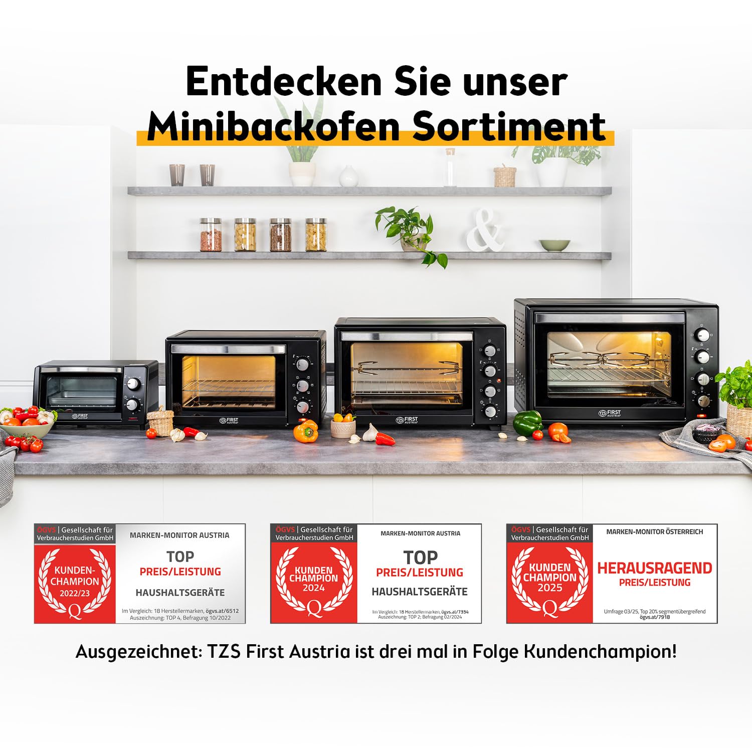 TZS First Austria - Minibackofen 10L 800W - Mini Backofen stufenlose Temperaturregelung bis 230°C - Miniofen 60 Min. Timer, 2 Einschubhöhen, Backblech & Grillrost - Für kleine Küchen & Camping